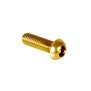 Arlows Hexagon Socket Panhead Screw conical AL7075 M5x25 Gold TYP II