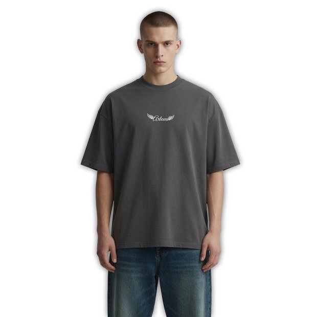 Arlows T-Shirt Wings Washed Grey